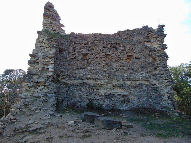 Dorrea