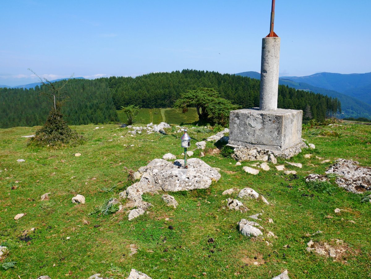 Uilzar gaina