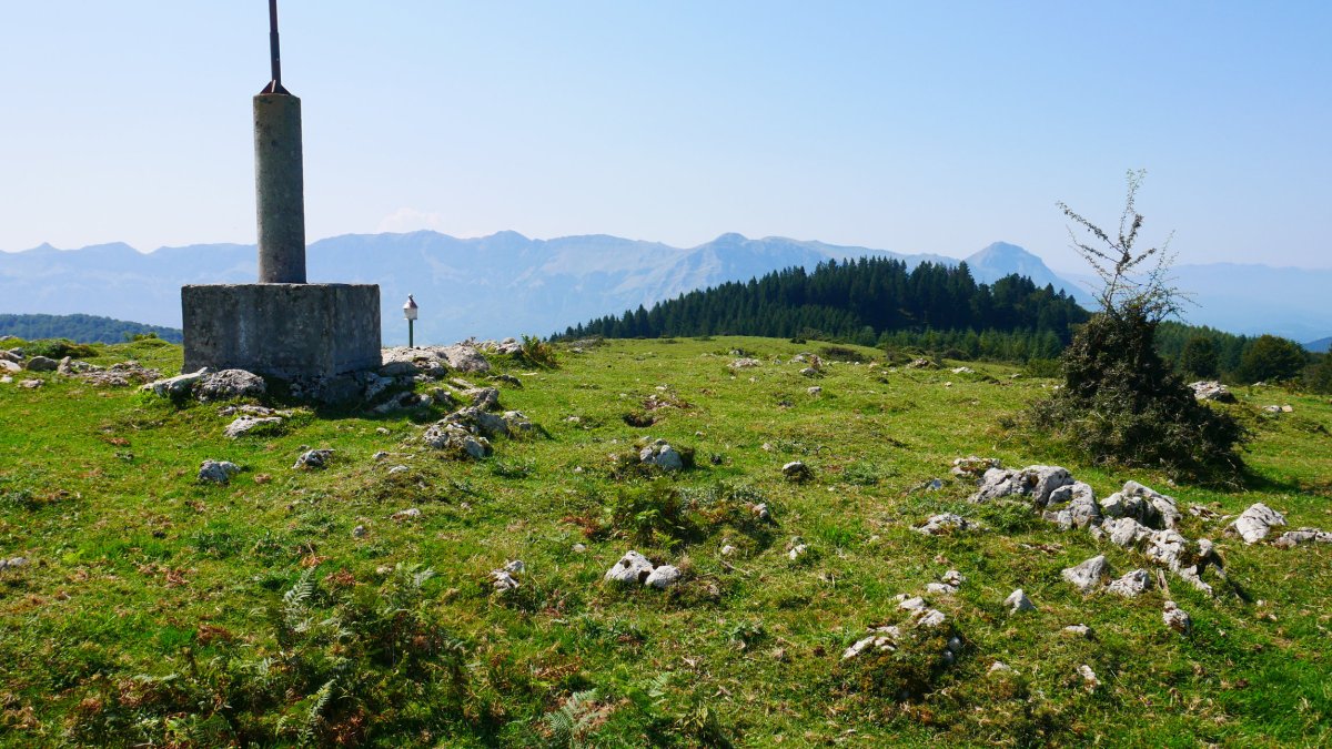 Gailurra, Ulizar