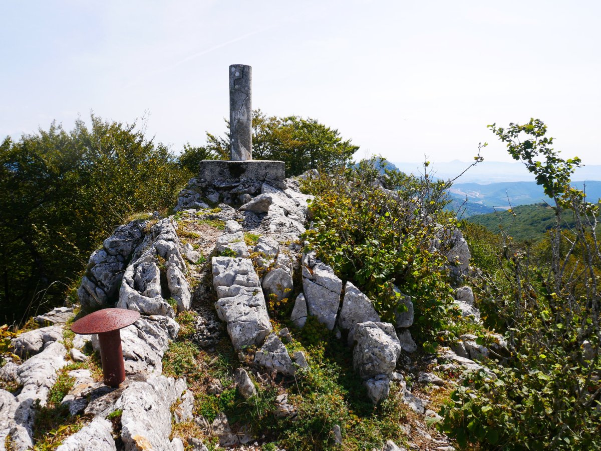 Tontorra