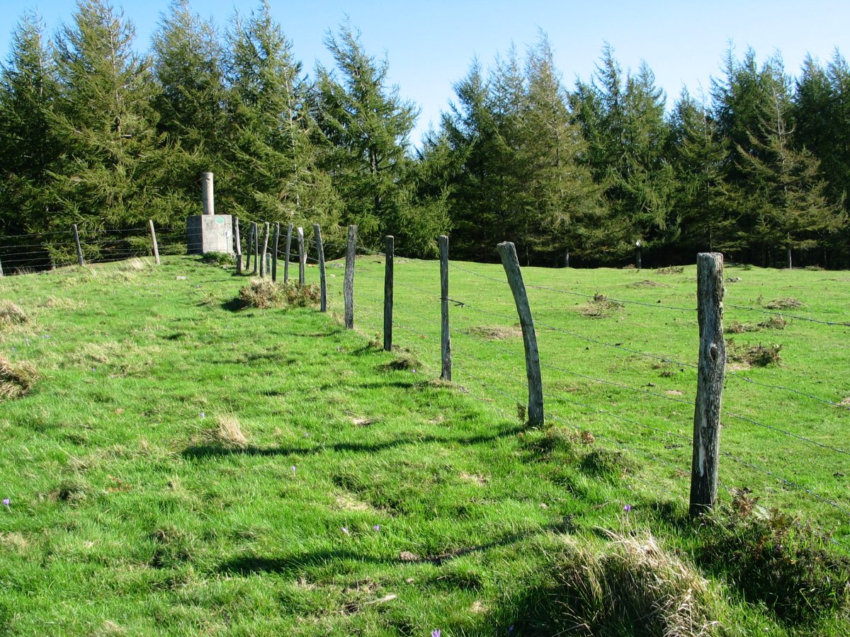 Tontorra