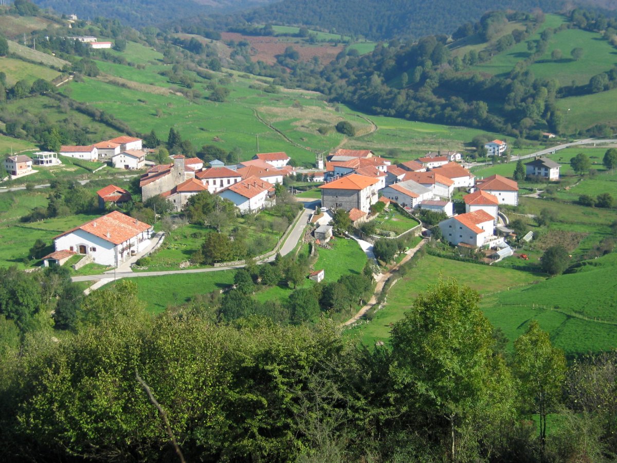 Uitzi