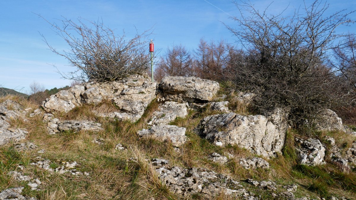 Tontorra