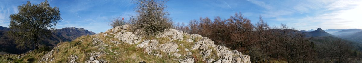 Tontorra