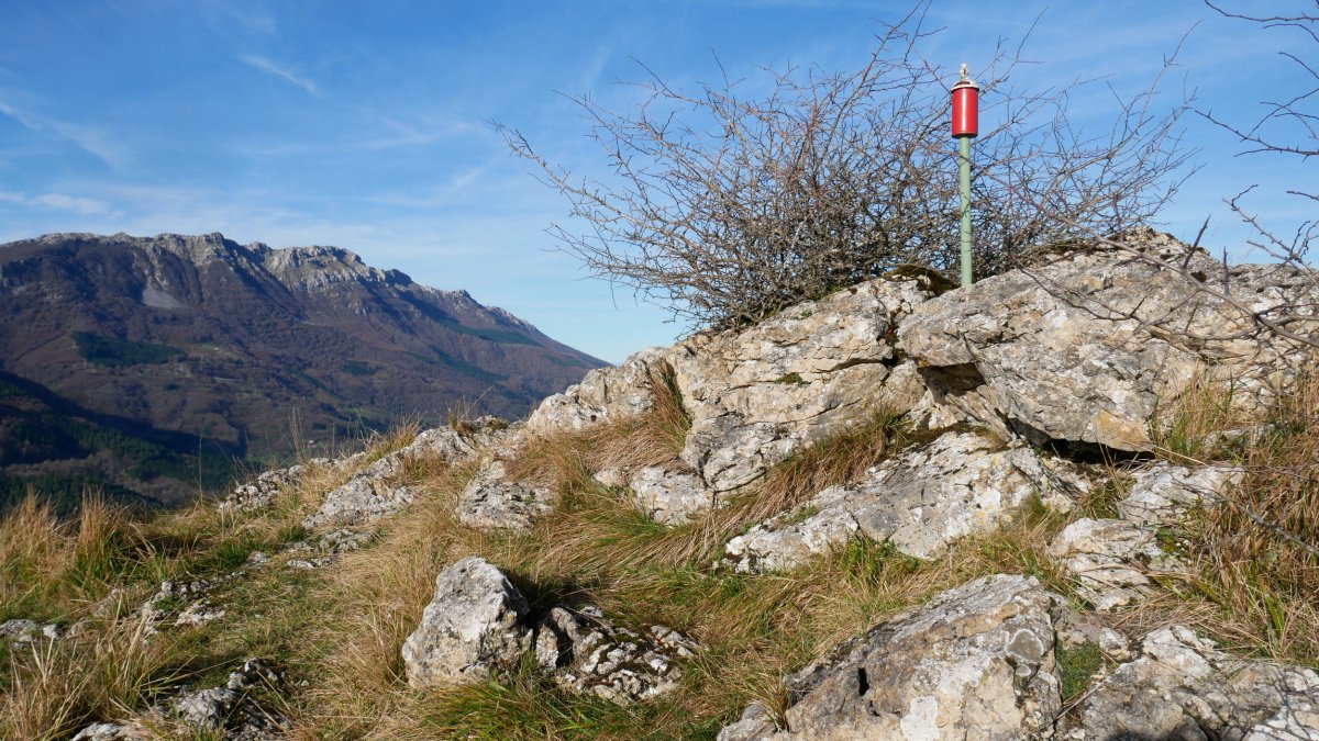 Tontorra