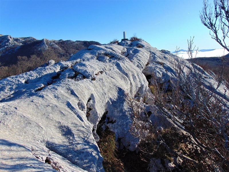 Tontorra