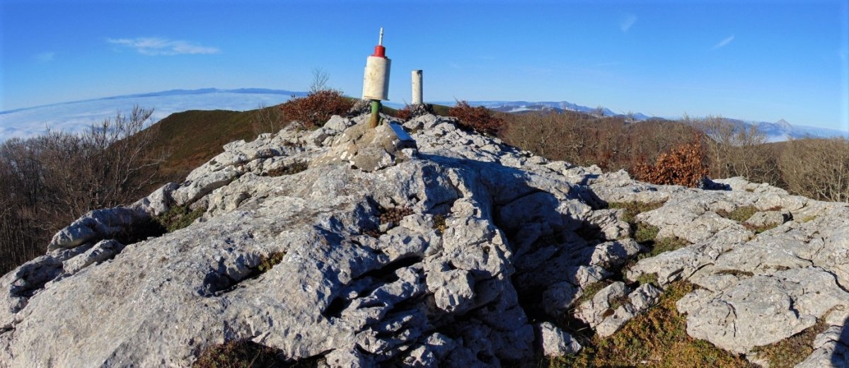 Tontorra