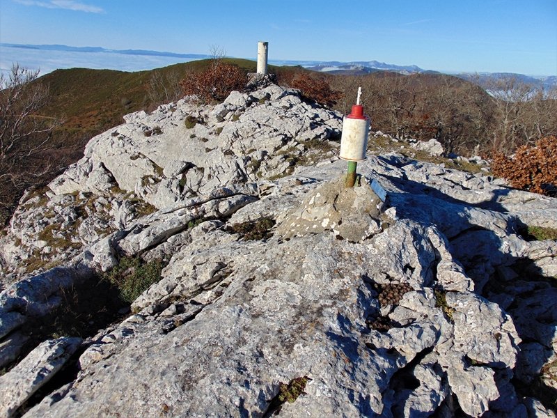 Tontorra