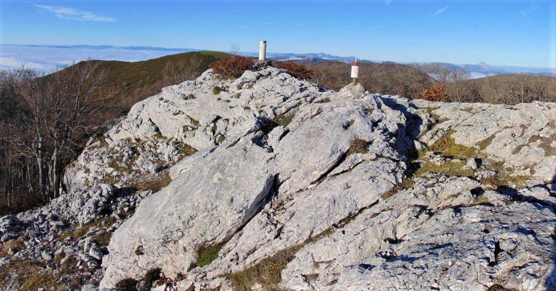 Tontorra