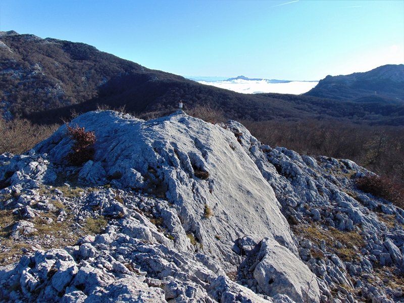 Tontorra