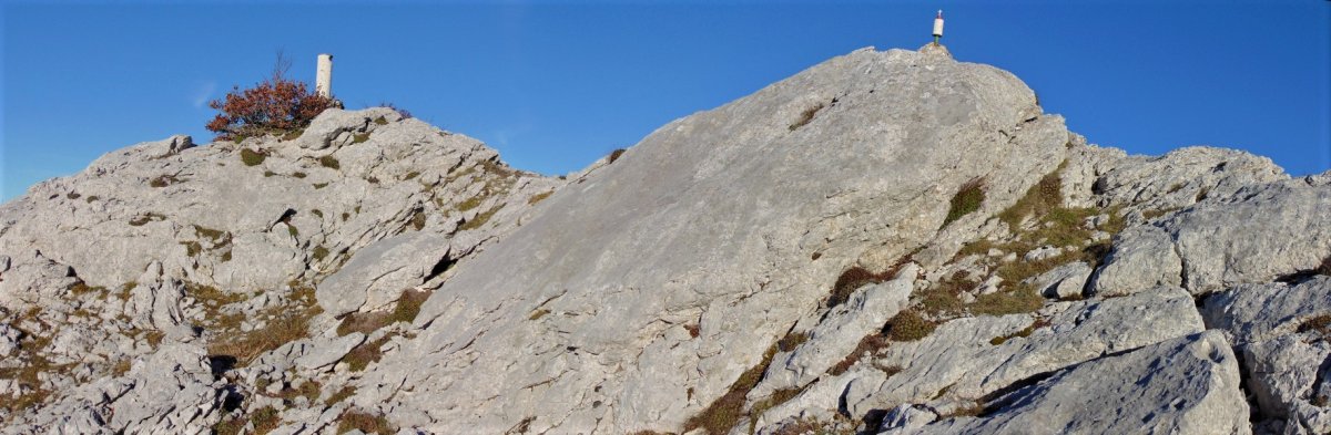 Tontorra