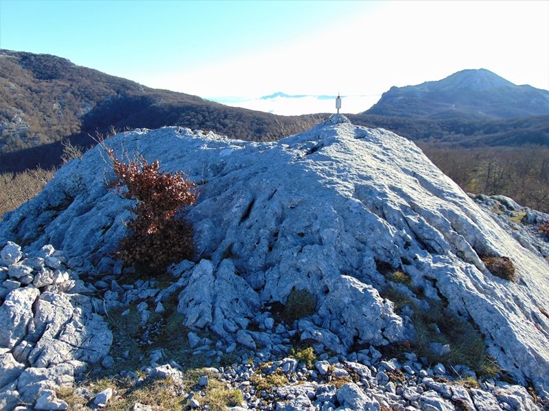 Tontorra