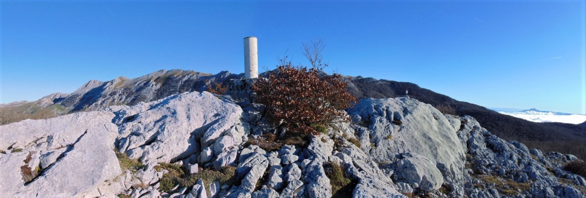 Tontorra