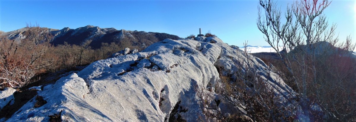 Tontorra