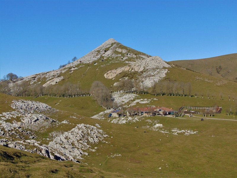 Enaitz