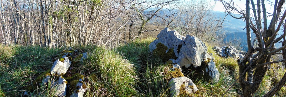 Tontorra