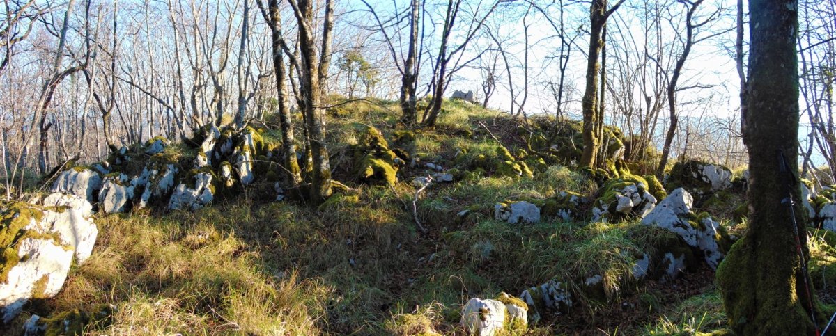 Tontorra