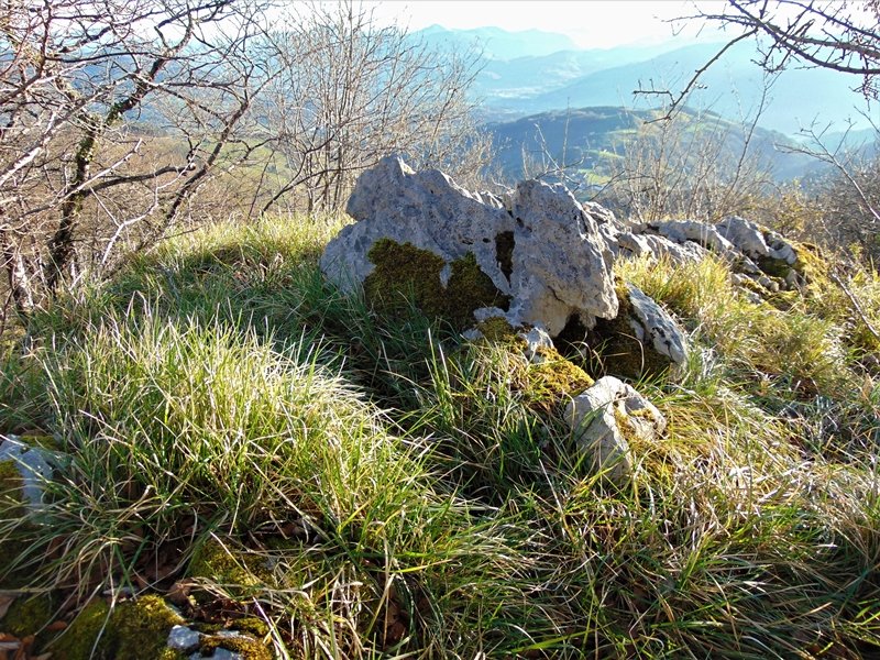 Tontorra