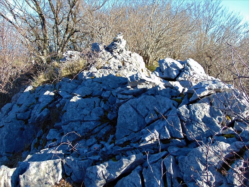 Tontorra