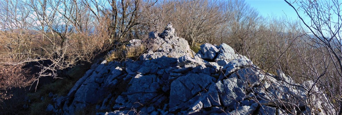 Tontorra
