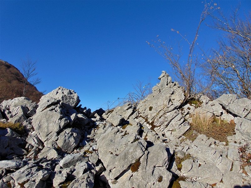 Tontorra