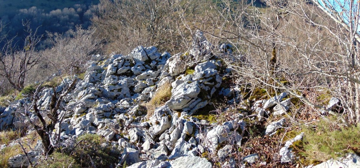 Tontorra