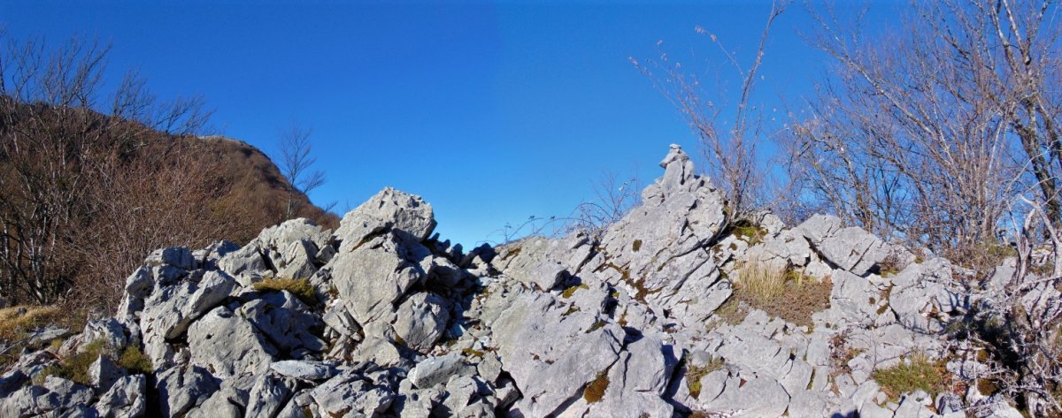 Tontorra