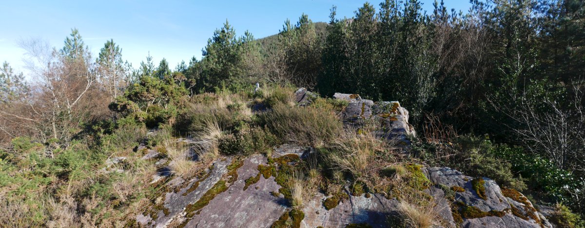 Tontorra, Muntto