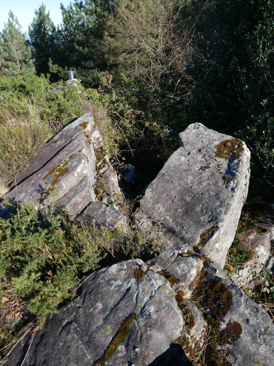 Tontorra, Muntto