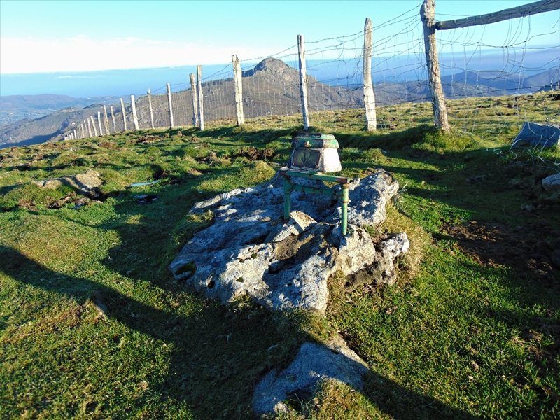 Tontorra