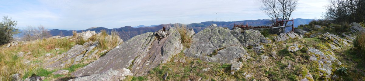 Gailurra, Arnabar