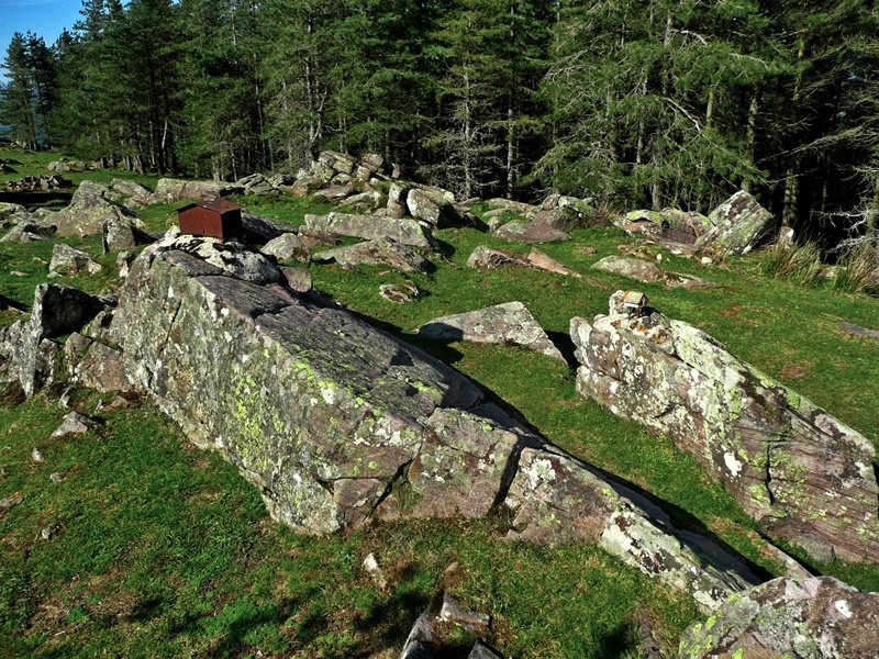 Tontorra