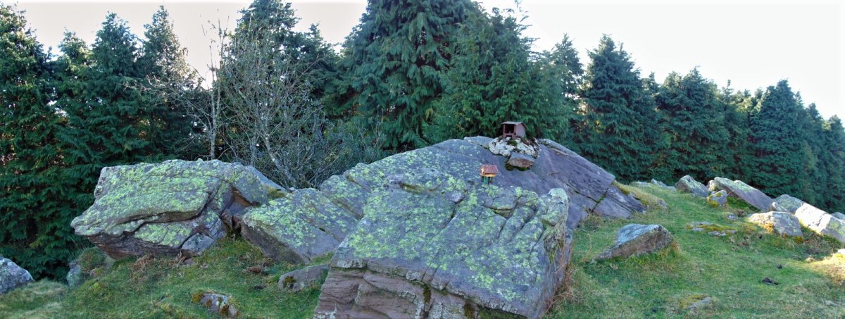 Tontorra
