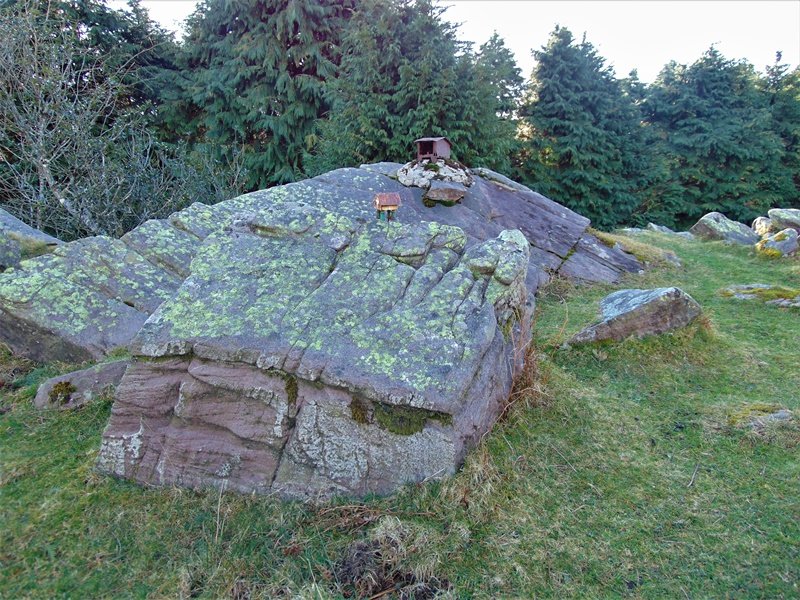 Tontorra