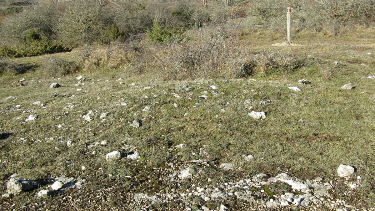 Manzuruturri 1 oeste tumulua, Arraia-Maeztu