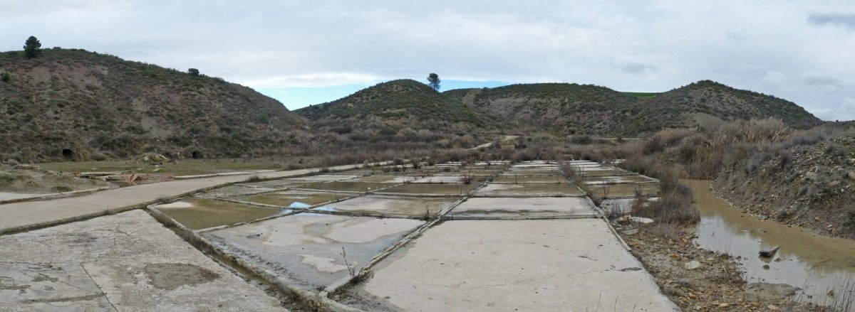 Obanosko gatzagak