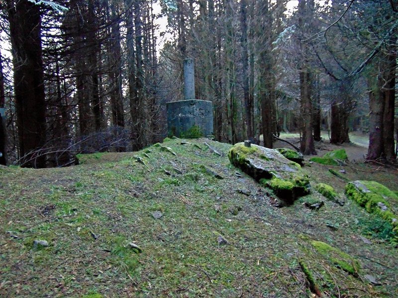 Tontorra