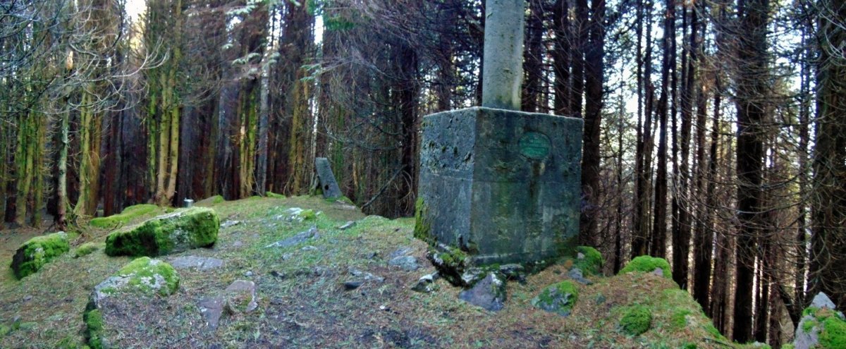 Tontorra