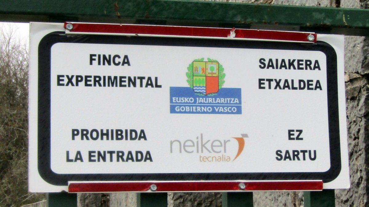 Iturrieta, Entzia