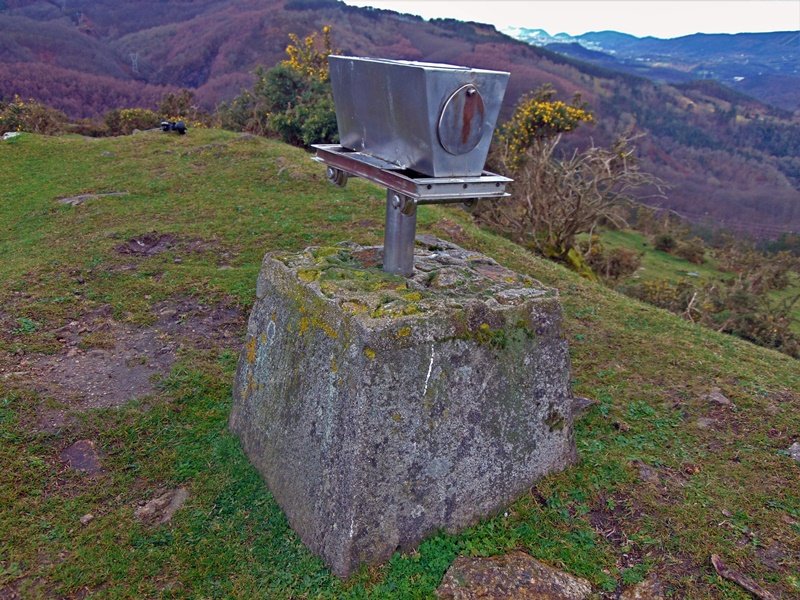 Buzoia