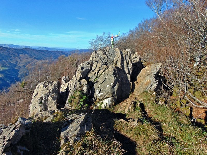 Tontorra