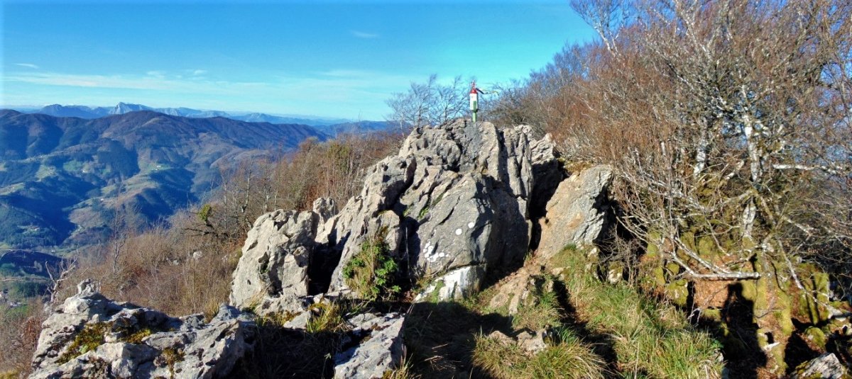 Tontorra