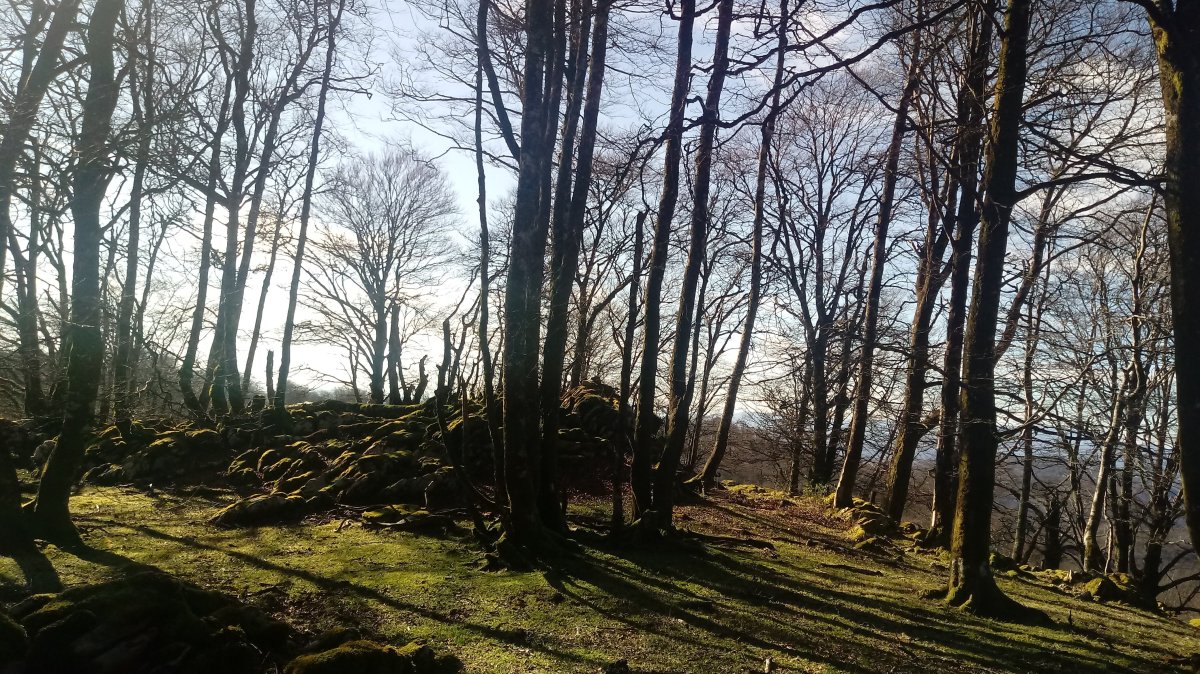 Pagoaundi (1029m) gainaldea