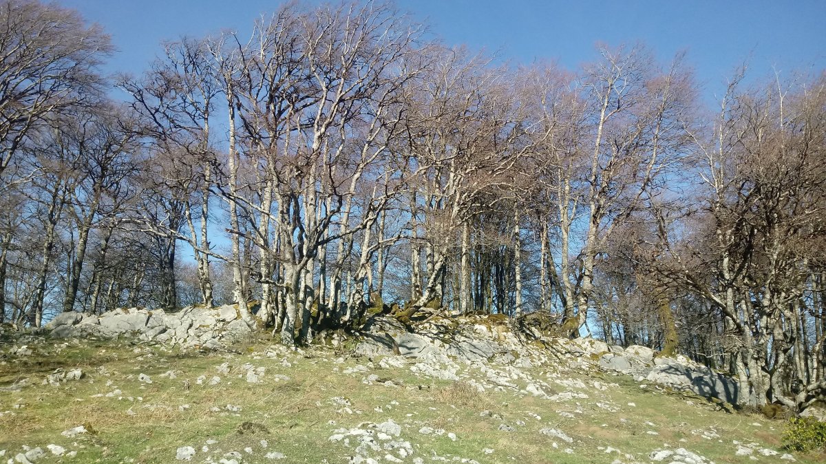 Pagoaundi (1029m) gaina