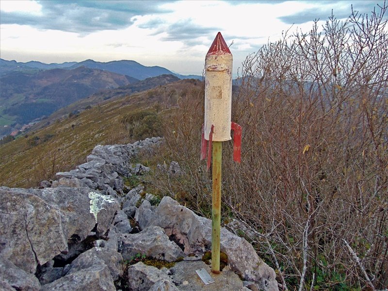 Buzoia