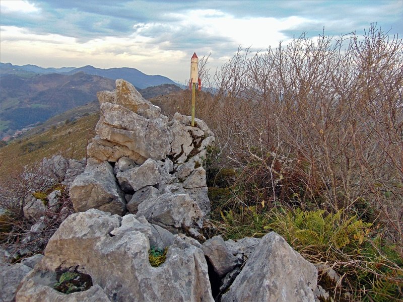 Tontorra