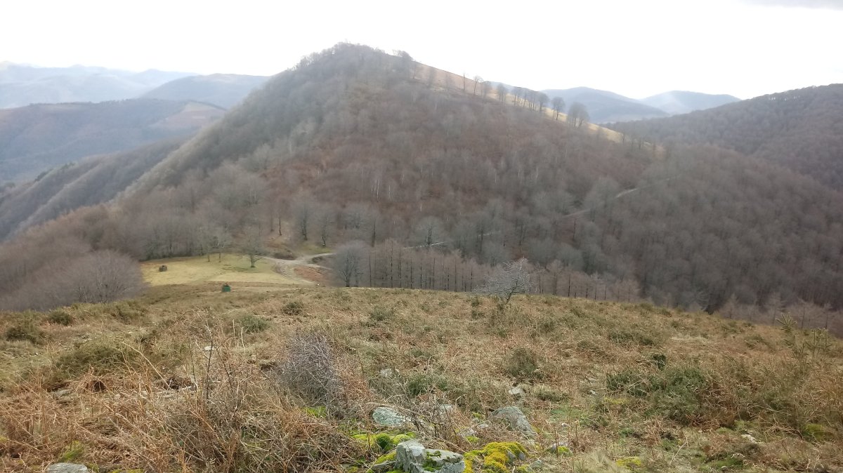 Lizartzeta (849m) iparretik