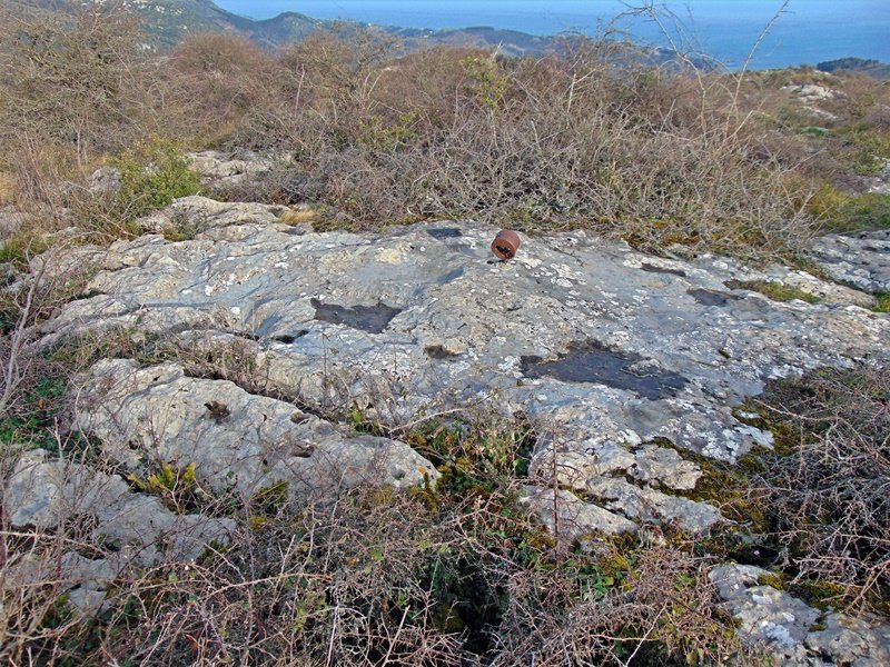 Tontorra