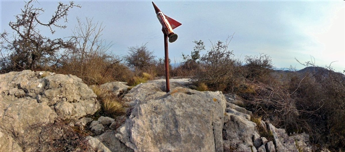 Tontorra