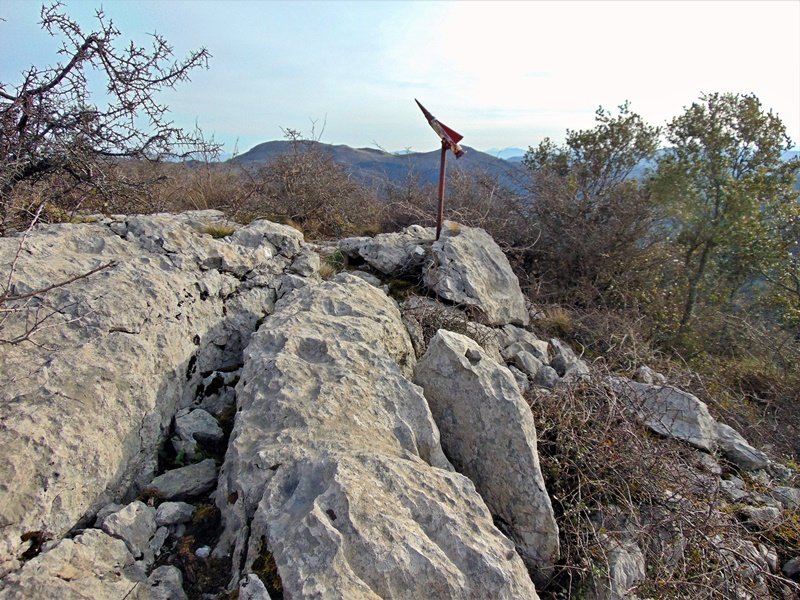 Tontorra